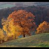20101104_1064